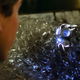 Illustration for article titled i/iiEarth To Echo /iis part hokey kids movie, part experimental video
